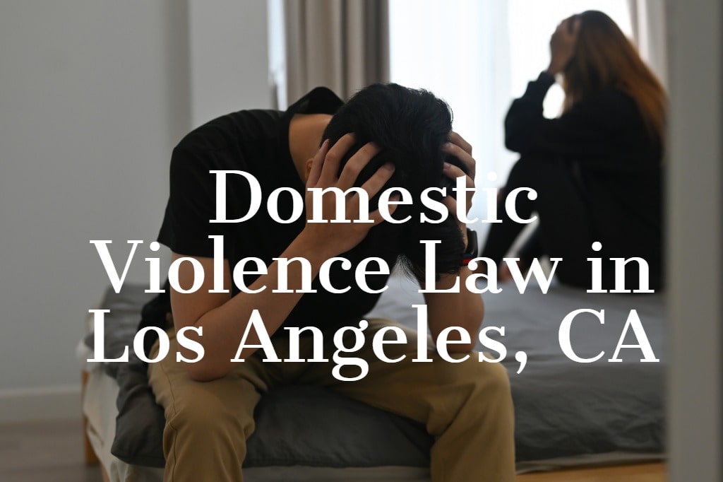 Domestic Violence Law in Los Angeles, CA